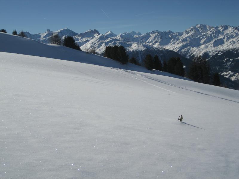 20080210_Skiferien_Nax 006.jpg